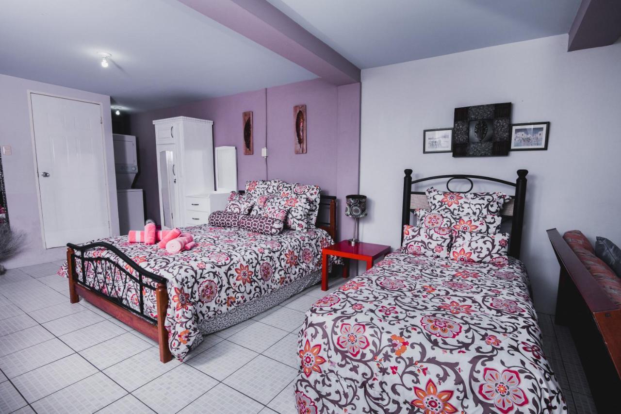 Saint Joseph The Valley Oasis Inn المظهر الخارجي الصورة